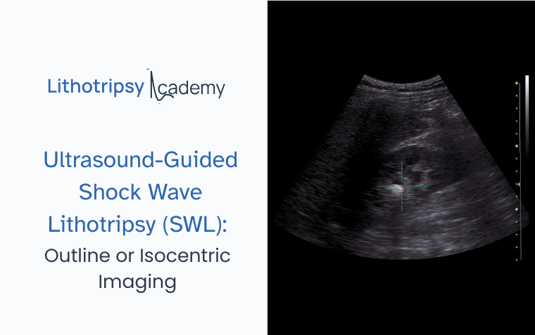 Ultrasound-Guided Shock Wave Lithotripsy – Outline